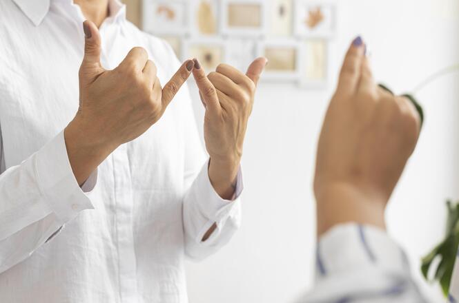 A imagem apresenta, em primeiro plano, duas pessoas interagindo através da linguagem de sinais. Ambas têm as mãos levantadas, gesticulando de forma expressiva.