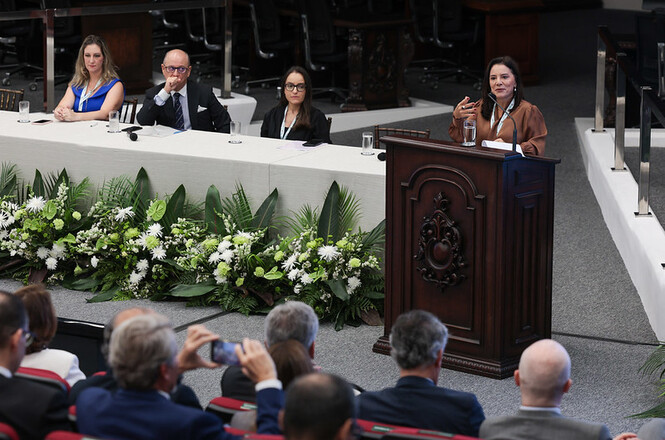 Foto colorida: palestrante ao púlpito diante de mesa de debatedores, auditório institucional, seminário, apresentando tema em verde, branco e madeira