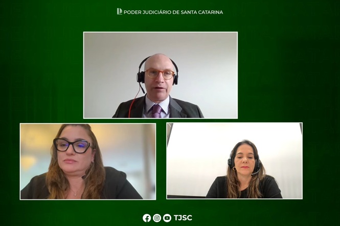 Foto colorida: participantes em transmissão online na tela, ambiente virtual, webinar institucional, debatendo temas em verde, preto e branco
