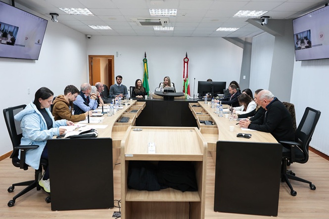 Foto horizontal: reunião institucional ocorre em sala com bandeiras do Brasil e SC ao fundo.