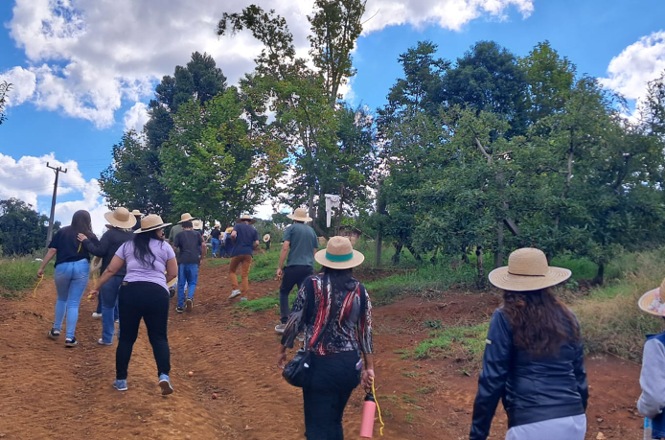 Foto horizontal: grupo caminha por estrada rural entre árvores, pessoas com chapéus, atividade ao ar livre, tons naturais.