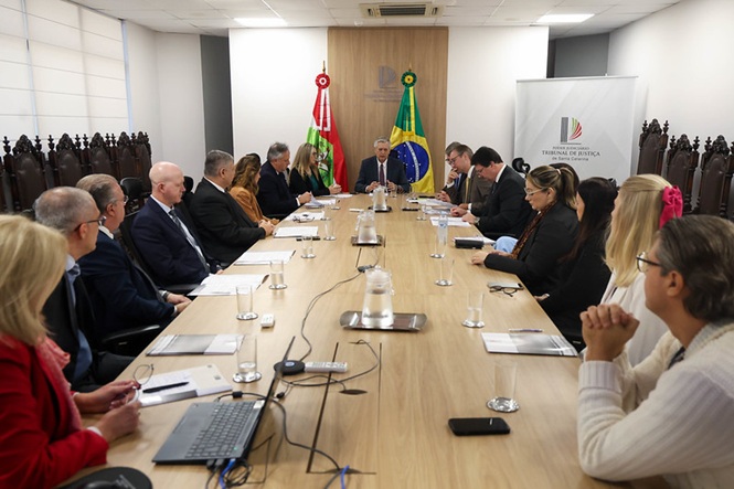 Foto reunião em tons bege e verde, sala institucional com bandeiras, ambiente corporativo, debatendo à mesa longa