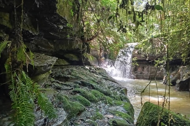 Foto horizontal: cachoeira em meio à vegetação densa, água corrente entre rochas cobertas de musgo, clima de natureza, tranquilidade e preservação ambiental.