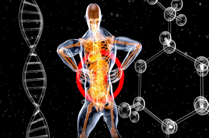 Imagem horizontal: representação do corpo humano com destaque para áreas de dor, elementos científicos ao redor, clima de conscientização sobre fibromialgia e saúde.