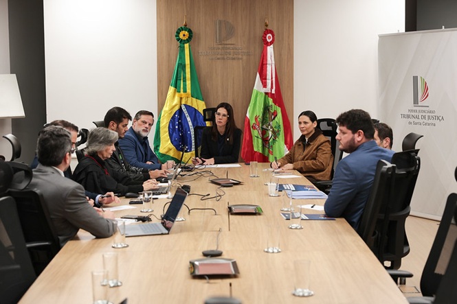 Foto horizontal: integrantes do Comitê de Gestão de Pessoas do TJSC participam de reunião institucional em torno da mesa de deliberações, com as bandeiras do Brasil e de Santa Catarina ao fundo.
