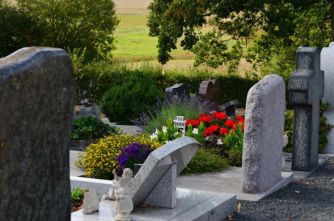 Foto horizontal: jazigos e lápides cercados por flores em cemitério arborizado, em imagem que remete à memória, ao luto e às homenagens póstumas.
