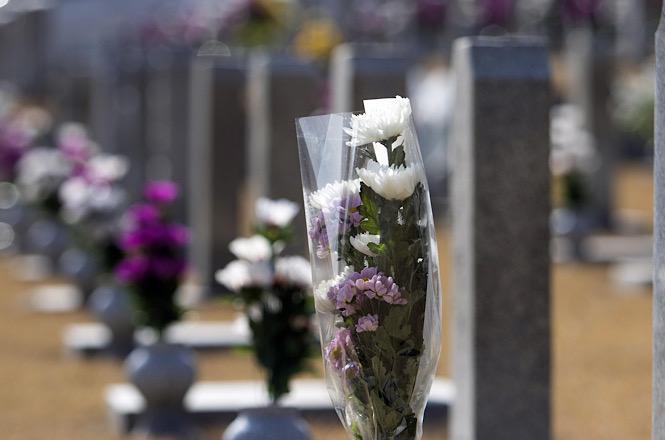 Flores depositadas em túmulos simbolizam homenagem e memória em cemitério.