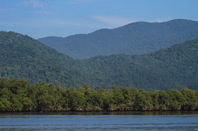 Foto horizontal: Paisagem reúne manguezal, rio e montanhas cobertas por Mata Atlântica em área de preservação ambiental.