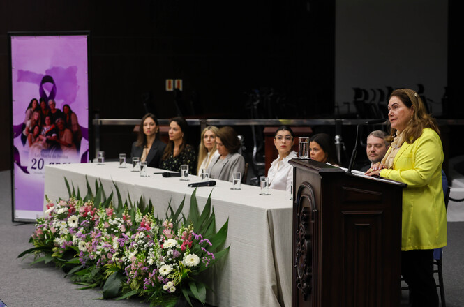 Foto horizontal: Des. Hildemar Meneguzzi discursa durante solenidade em comemoração aos 20 anos da Lei Maria da Penha.