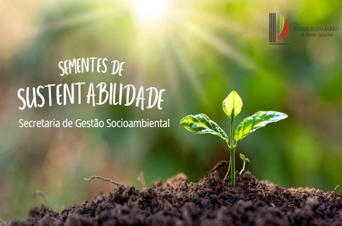 Arte gráfica: card “Sementes de Sustentabilidade” mostra uma muda brotando do solo em ambiente verde.