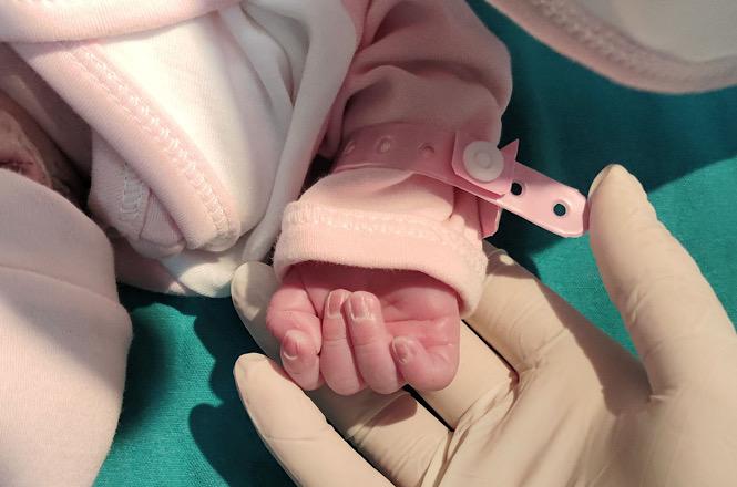 Foto horizontal: mão de recém-nascido é amparada por profissional com luvas em ambiente hospitalar.