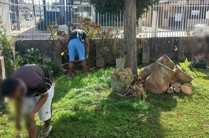 Imagem horizontal mostra pessoas realizando atividade de jardinagem em área externa cercada.