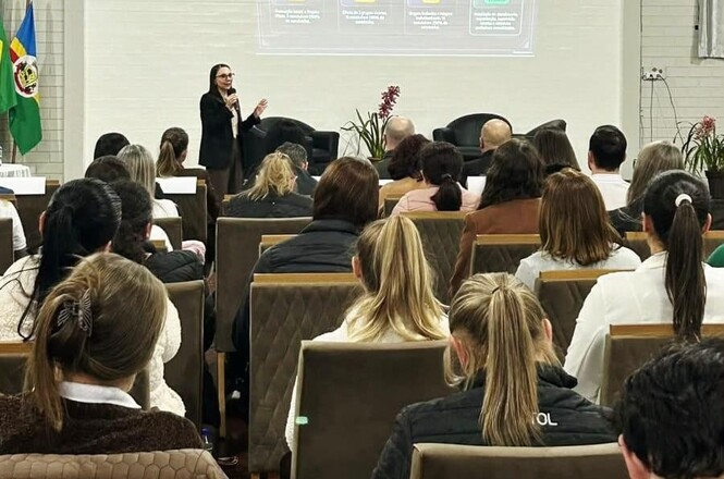Imagem horizontal mostra palestrante em pé falando ao público durante apresentação em auditório.