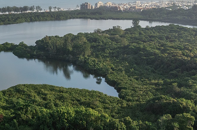 Foto horizontal: vista aérea de extensa área de vegetação cercada por lagoas, com área urbana ao fundo.