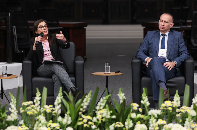 Foto horizontal: autoridade fala ao microfone durante debate no plenário, enquanto outro participante acompanha a exposição.