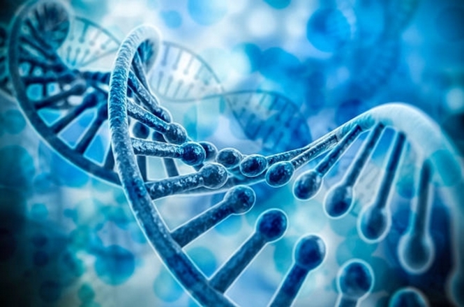 Arte horizontal: representação de moléculas de DNA em dupla hélice, com estruturas em diferentes tons de azul.