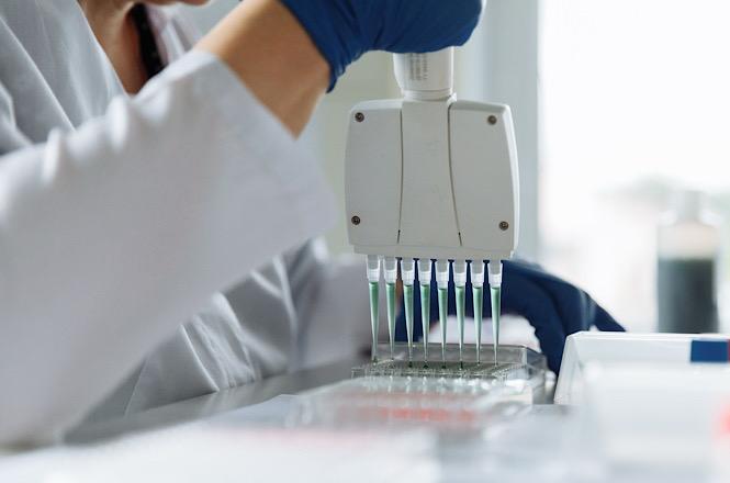 Foto horizontal: profissional de laboratório utiliza pipeta multicanal para transferir amostras em placa durante procedimento de pesquisa científica.