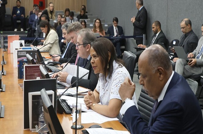 Foto horizontal: mulher de blusa branca e homens de terno escuro debatem em plenário durante sessão oficial.