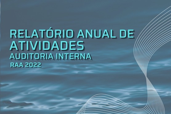 Banner Relatório Anual de Auditoria.